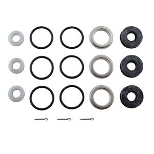 CAT Pump 33953 High Temperature Seal Kit for Model 2SF and 2SFX Pumps