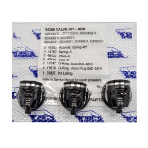 CAT Pump 34260 Valve Kit for 5DX, 6DX, and 66DX, Pumps