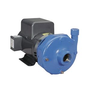 Goulds Centrifugal Pump 7.5 HP