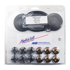Wanner D10 Hydra-Cell Repair Kit Fluid End