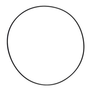 Wanner H25-037-2110 Hydra-Cell O-Ring for H25 Pump