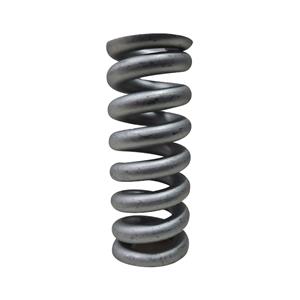 General Pump Y60510261 Steel Spring